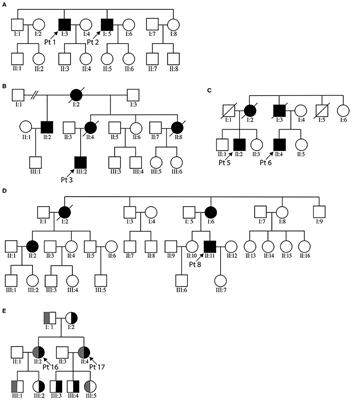 Expanding the Clinico-Genetic Spectrum of Myofibrillar Myopathy: Experience From a Chinese Neuromuscular Center